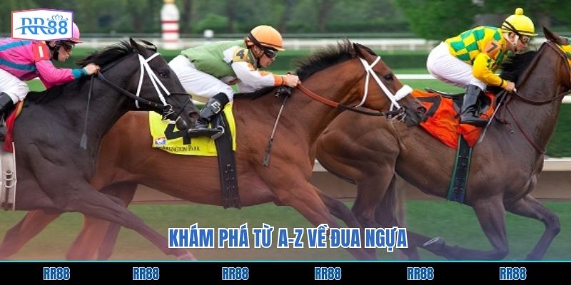 Khám phá từ A-Z về đua ngựa