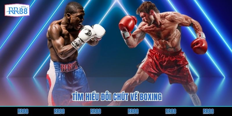 Tìm hiểu đôi chút về boxing