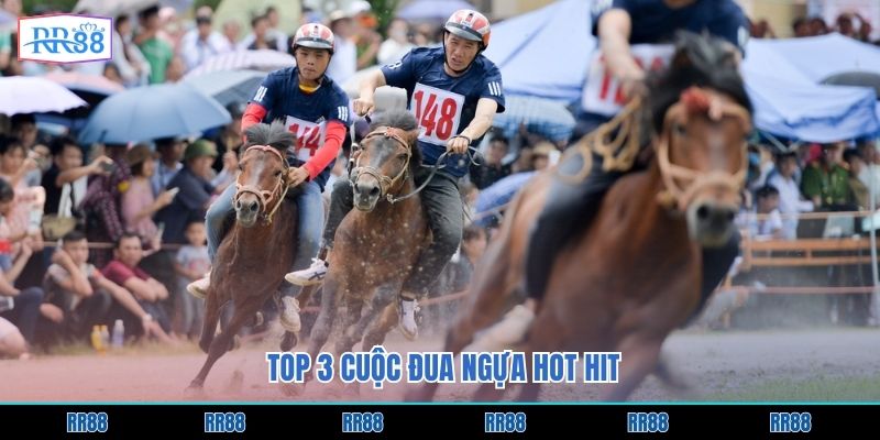 Top 3 cuộc đua ngựa hot hit